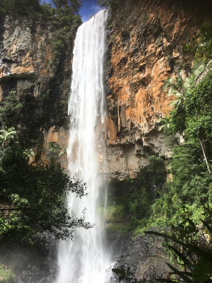 Purling Brook Falls Gwongorella Springbrook Exterior photo
