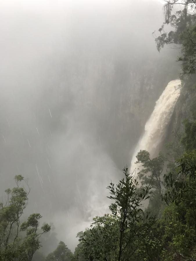Purling Brook Falls Gwongorella Springbrook Exterior photo